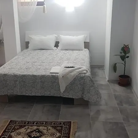 Guest house Casa Andrei Techirghiol