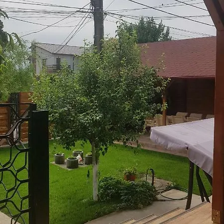 Guest house Casa Andrei 3*