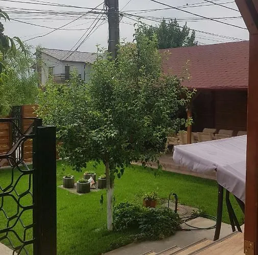 Guest house Casa Andrei 3*